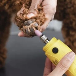 ConairPROPET Professional Cordless Two-Speed LED Dog Nail Grinder -Cozy Paws 249516 PT6. AC SS1800 V1695824067