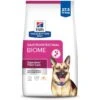 Hill's Prescription Diet Gastrointestinal Biome Chicken Flavor Dry Dog Food -Cozy Paws 250641 MAIN. AC SS1800 V1647294132
