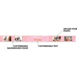 Frisco "Paws Off" Ceramic Personalized Dog & Cat Bowl -Cozy Paws 250829 PT1. AC SS1800 V1602686183