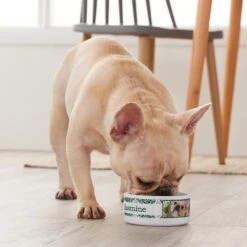 Frisco Boho Damask Ceramic Personalized Dog & Cat Bowl -Cozy Paws 250833 PT3. AC SS1800 V1610758070