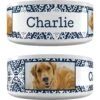 Frisco Boho Damask Ceramic Personalized Dog Bowl -Cozy Paws 250835 MAIN. AC SS1800 V1602632496