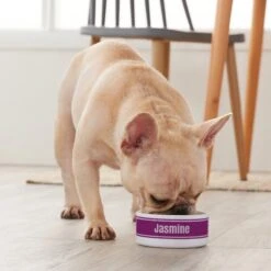 Frisco Preppy Stripes Ceramic Personalized Dog & Cat Bowl -Cozy Paws 250837 PT3. AC SS1800 V1610764911