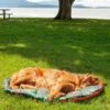 FurHaven Trail Pup Packable Stuff Sack Travel Pillow Dog Bed -Cozy Paws 250947 MAIN. AC SS1800 V1619655445