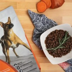 Nulo Freestyle Grain-Free Turkey & Sweet Potato Recipe Dry Dog Food -Cozy Paws 251406 PT2. AC SS1800 V1667948668