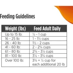 Nulo Freestyle Grain-Free Turkey & Sweet Potato Recipe Dry Dog Food -Cozy Paws 251406 PT8. AC SS1800 V1667863732