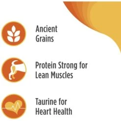 Nulo Frontrunner Ancient Grains Chicken, Oats & Turkey Adult Dry Dog Food -Cozy Paws 251420 PT3. AC SS1800 V1667948790