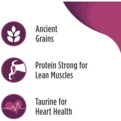 Nulo Frontrunner Ancient Grains Pork, Barley & Beef Adult Dry Dog Food -Cozy Paws 251421 PT3. AC SS1800 V1667948184