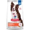 Hill's Science Diet Adult Perfect Digestion Chicken, Brown Rice, & Whole Oats Recipe Dry Dog Food -Cozy Paws 252028 MAIN. AC SS1800 V1660574062