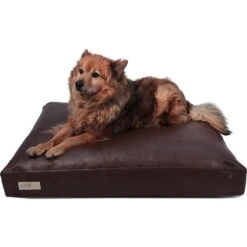 B&G Martin Faux Leather Poly Fill Cushion Insert Dog & Cat Bed -Cozy Paws 252285 PT3. AC SS1800 V1603729332