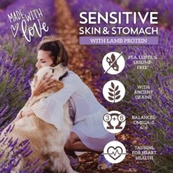 Wholesomes Sensitive Skin & Stomach With Lamb Protein Dry Dog Food, 30-lb Bag -Cozy Paws 252535 PT3. AC SS1800 V1600209692