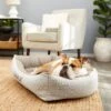 Frisco Rectangular Personalized Bolster Dog Bed W/Removable Cover, Beige, X-Large 1 Frisco Rectangular Personalized Bolster Dog Bed W/Removable Cover, Beige, X-Large -Cozy Paws 252615 MAIN. AC SS1800 V1604499115