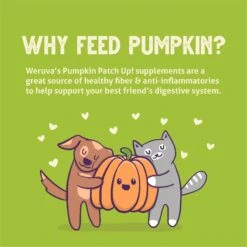 Weruva Pumpkin Patch Up! Pumpkin With Ginger & Turmeric Dog & Cat Wet Food Supplement -Cozy Paws 252854 PT5. AC SS1800 V1600397173