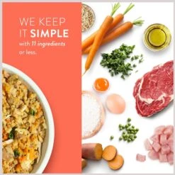 Portland Pet Food Company Rosie's Beef N' Rice Homestyle Wet Dog Food Topper, 9-oz Pouch, Case Of 4 -Cozy Paws 252873 PT6. AC SS1800 V1693247846