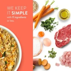 Portland Pet Food Company Grandma Ada's Turkey & Yams Homestyle Wet Dog Food Topper, 9-oz Pouch, Case Of 4 -Cozy Paws 252879 PT6. AC SS1800 V1693002158