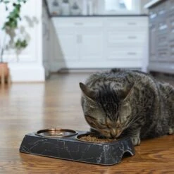 Frisco Copper Stainless Steel Double Dog & Cat Bowls With Black Marble Stand -Cozy Paws 253058 PT2. AC SS1800 V1616594213