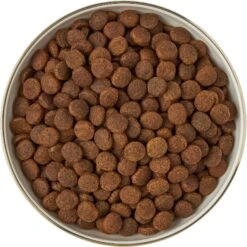 Frisco Gold Trim Melamine Dog & Cat Bowl -Cozy Paws 253062 PT5. AC SS1800 V1616595396