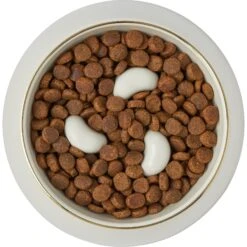 Frisco Melamine Slow Feed Dog & Cat Bowl With Gold Trim -Cozy Paws 253066 PT5. AC SS1800 V1616597830