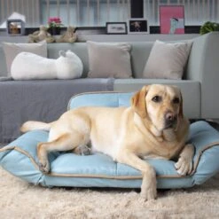 K1 Pet Design Stark Sofa Dog Bed -Cozy Paws 254149 PT6. AC SS1800 V1602723974