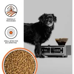 BIXBI Liberty Chicken Recipe Small Breed Grain-Free Dry Dog Food -Cozy Paws 254799 PT2. AC SS1800 V1668202913