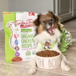 Tender & True Organic Chicken Recipe Small Breed Grain-Free Dry Dog Food, 4-lb Bag -Cozy Paws 255137 PT4. AC SS1800 V1601619377