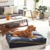 Frisco Faux Felt Zipper Pillow Cat & Dog Bed