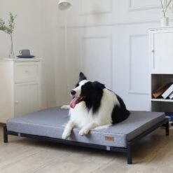 KOPEKS Orthopedic Elevated Bolster Dog Bed With Removable Cover -Cozy Paws 255295 PT5. AC SS1800 V1602119465