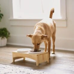 Frisco Ceramic Dog & Cat Double Diner With Elevated Wood Stand -Cozy Paws 256052 PT2. AC SS1800 V1615311142