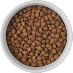 Frisco Bones Non-skid Ceramic Dog & Cat Bowl -Cozy Paws 256074 PT5. AC SS1800 V1615312010