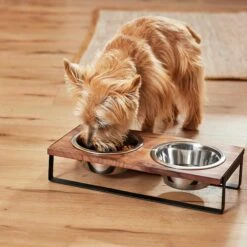 Frisco Wood Elevated Non-Skid Stainless Steel Double Diner Dog & Cat Bowl -Cozy Paws 257143 PT3. AC SS1800 V1615987292
