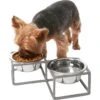 Frisco Elevated Diamond Stainless Steel Double Diner Dog & Cat Bowl -Cozy Paws 257147 MAIN. AC SS1800 V1615913790