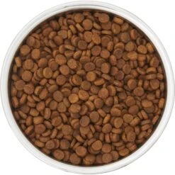 Frisco Insulated Two-Toned Non-Skid Stainless Steel Dog & Cat Bowl -Cozy Paws 257168 PT4. AC SS1800 V1612367255