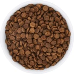 Frisco Bohemian Non-Skid Stainless Steel Dog & Cat Bowl -Cozy Paws 257195 PT4. AC SS1800 V1615311089