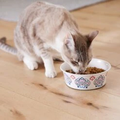 Frisco Bohemian Non-Skid Stainless Steel Dog & Cat Bowl -Cozy Paws 257195 PT7. AC SS1800 V1615989147