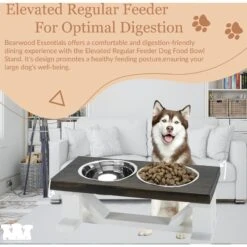 Bearwood Essentials Farmhouse Elevated Dog Feeder -Cozy Paws 258636 PT4. AC SS1800 V1698845986