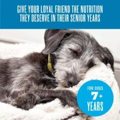 Tiki Dog Aloha Petites Senior Mousse Chicken, Beef & Pumpkin In Broth Grain-Free Wet Dog Food -Cozy Paws 259160 PT7. AC SS1800 V1631197321