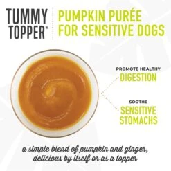 Tiki Dog Tummy Topper Pumpkin & Ginger Puree Grain-Free Wet Dog Food Topper -Cozy Paws 259168 PT3. AC SS1800 V1631199112