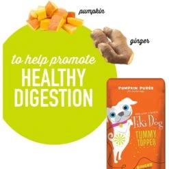 Tiki Dog Tummy Topper Pumpkin & Ginger Puree Grain-Free Wet Dog Food Topper -Cozy Paws 259168 PT4. AC SS1800 V1631198488