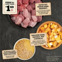 ACANA Wholesome Grains Red Meat Recipe Dry Dog Food -Cozy Paws 259580 PT3. AC SS1800 V1696260851