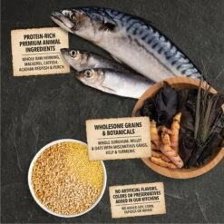 ACANA Sea To Stream Recipe + Wholesome Grains Dry Dog Food -Cozy Paws 259583 PT7. AC SS1800 V1696266561