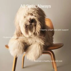 Now Fresh Grain-Free Adult Recipe Dry Dog Food -Cozy Paws 261224 PT2. AC SS1800 V1637790463