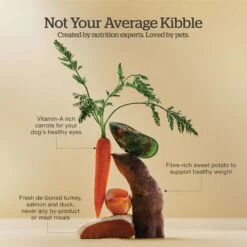 Now Fresh Grain-Free Adult Recipe Dry Dog Food -Cozy Paws 261224 PT3. AC SS1800 V1637794034