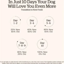 Now Fresh Grain-Free Adult Recipe Dry Dog Food -Cozy Paws 261224 PT6. AC SS1800 V1637792016