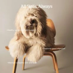 Now Fresh Grain-Free Adult Fish Recipe Dry Dog Food -Cozy Paws 261250 PT2. AC SS1800 V1637792562