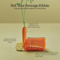 Now Fresh Grain-Free Adult Fish Recipe Dry Dog Food -Cozy Paws 261250 PT3. AC SS1800 V1637792589