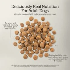 Now Fresh Grain-Free Adult Fish Recipe Dry Dog Food -Cozy Paws 261250 PT4. AC SS1800 V1637790492