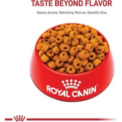 Royal Canin Breed Health Nutrition Labrador Retriever Adult 5+ Dry Dog Food -Cozy Paws 263410 PT1. AC SS1800 V1695158729