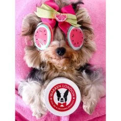 Warren London Hydrating Butter Nose & Paw Dog Balm, 4-oz Jar -Cozy Paws 263434 PT4. AC SS1800 V1660255118