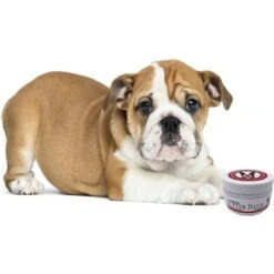 Warren London Hydrating Butter Nose & Paw Dog Balm, 4-oz Jar -Cozy Paws 263434 PT5. AC SS1800 V1607729841