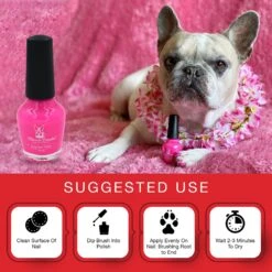 Warren London Variety Pack Dog Nail Polish, 0.50-oz Bottle, 6 Count -Cozy Paws 263438 PT2. AC SS1800 V1671202197