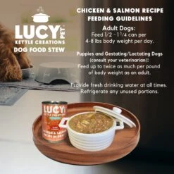 Lucy Pet Products Kettle Creations Chicken & Salmon Recipe In Gravy Wet Dog Food, 12.5-oz Can, Case Of 12 -Cozy Paws 263488 PT5. AC SS1800 V1607439478